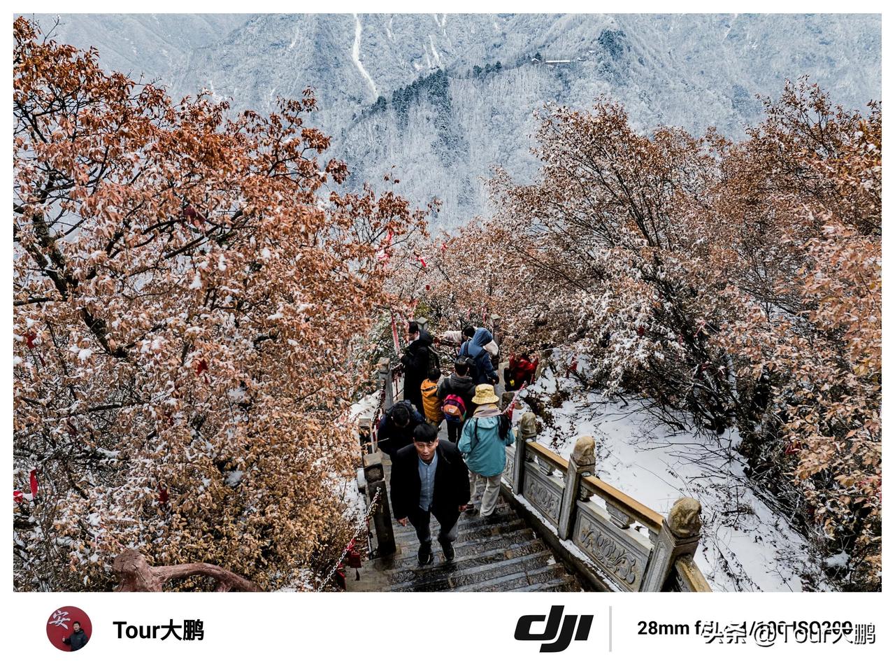 ❄️雪后的秦岭终南山南五台景区，美到令人窒息❄️

🌲往日郁郁葱葱的森林像是披