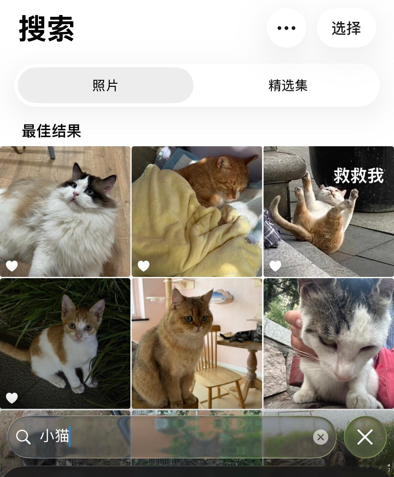 苹果相册乱起名字但是有一说一，苹果的搜索功能还是蛮好用的，无论是现实还是截图的，