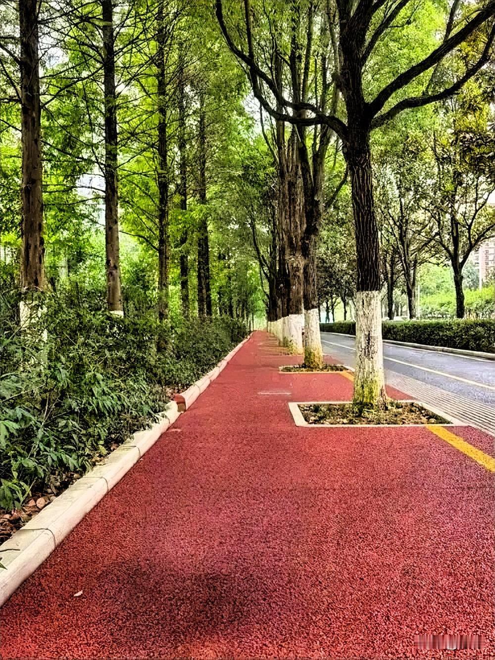 低头走路的人只看到大地的厚重，却忽略了高空的高远；

抬头走路的人，只看到高空的