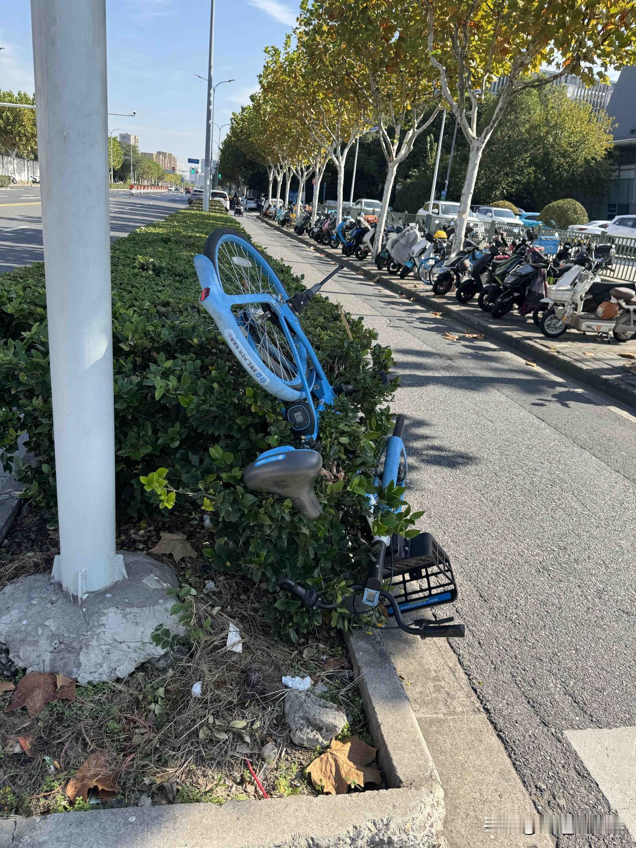 他发生了什么事情？[捂脸][捂脸]