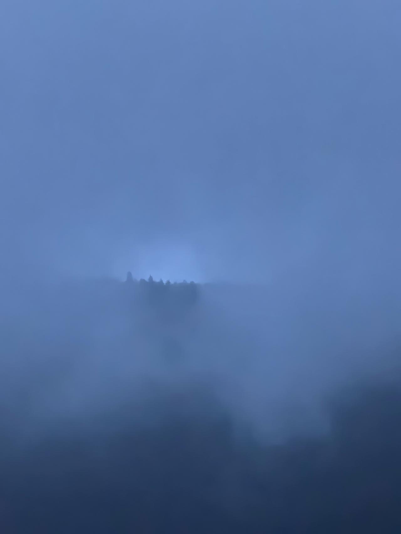 凡有所求，皆有所失。
一个求字是所有烦恼的根源。
除了求生存，这个是人性，
人活