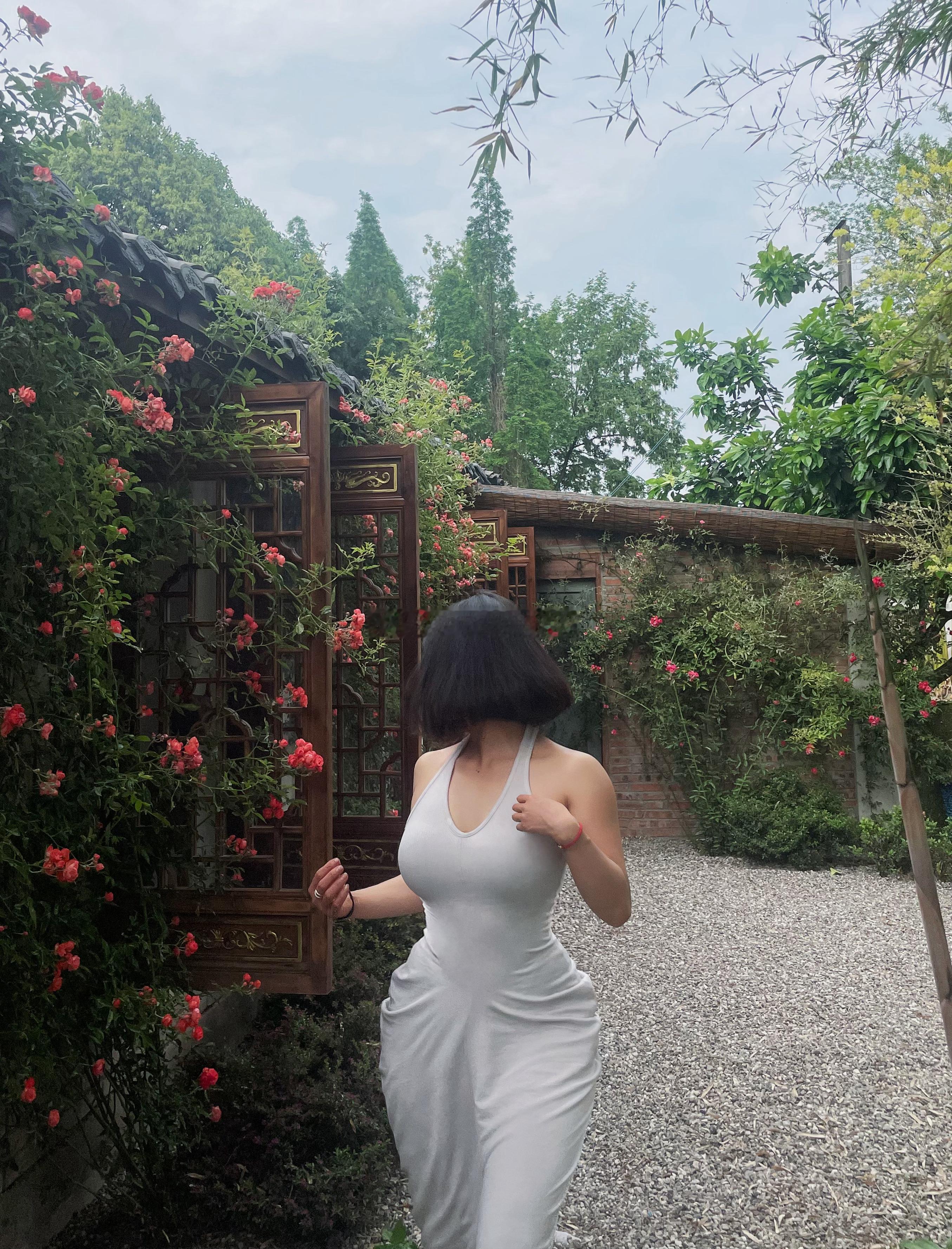 稻田很美 ​​​
