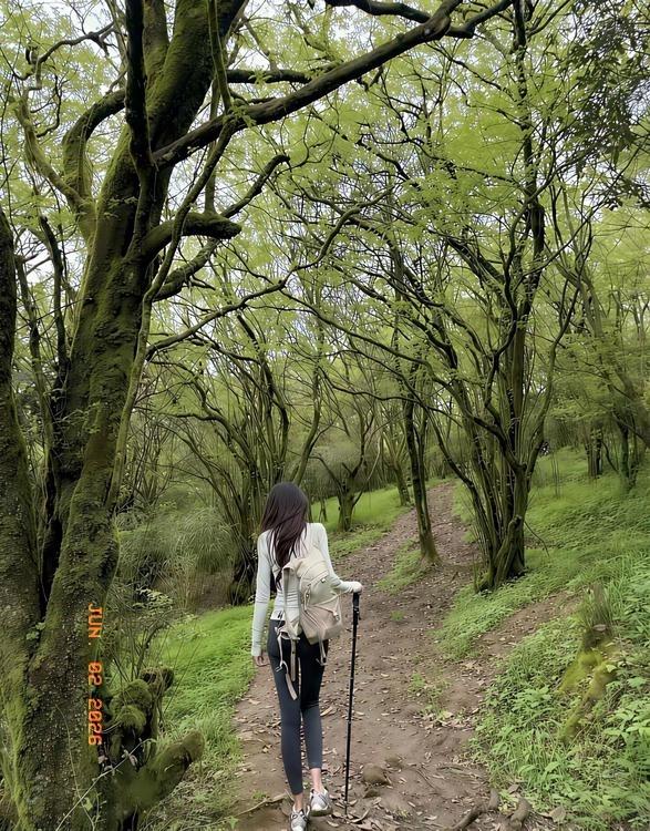 登山的意义也许就是能让人永远保持积极健康的心态来面对生活吧。登山风景照 女生登山