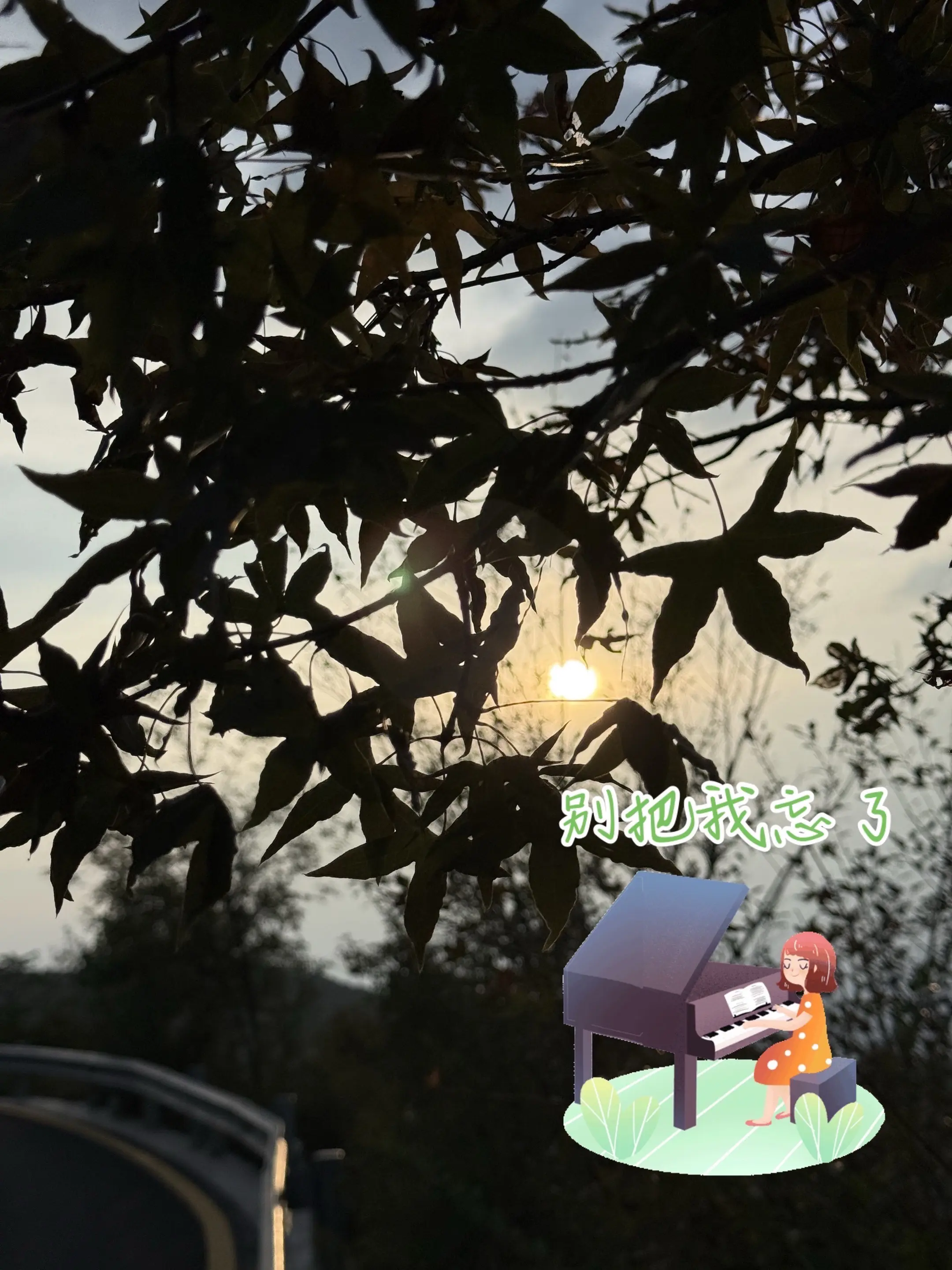 你是人间偷来的白月光，轻轻亮又轻轻消亡，热搜上的名多荒唐，是你从未想要...