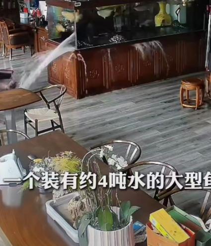 主人喊朋友“中午来吃鱼”！浙江一户人家的大型观赏鱼缸突然发生爆裂，这个鱼缸里装了