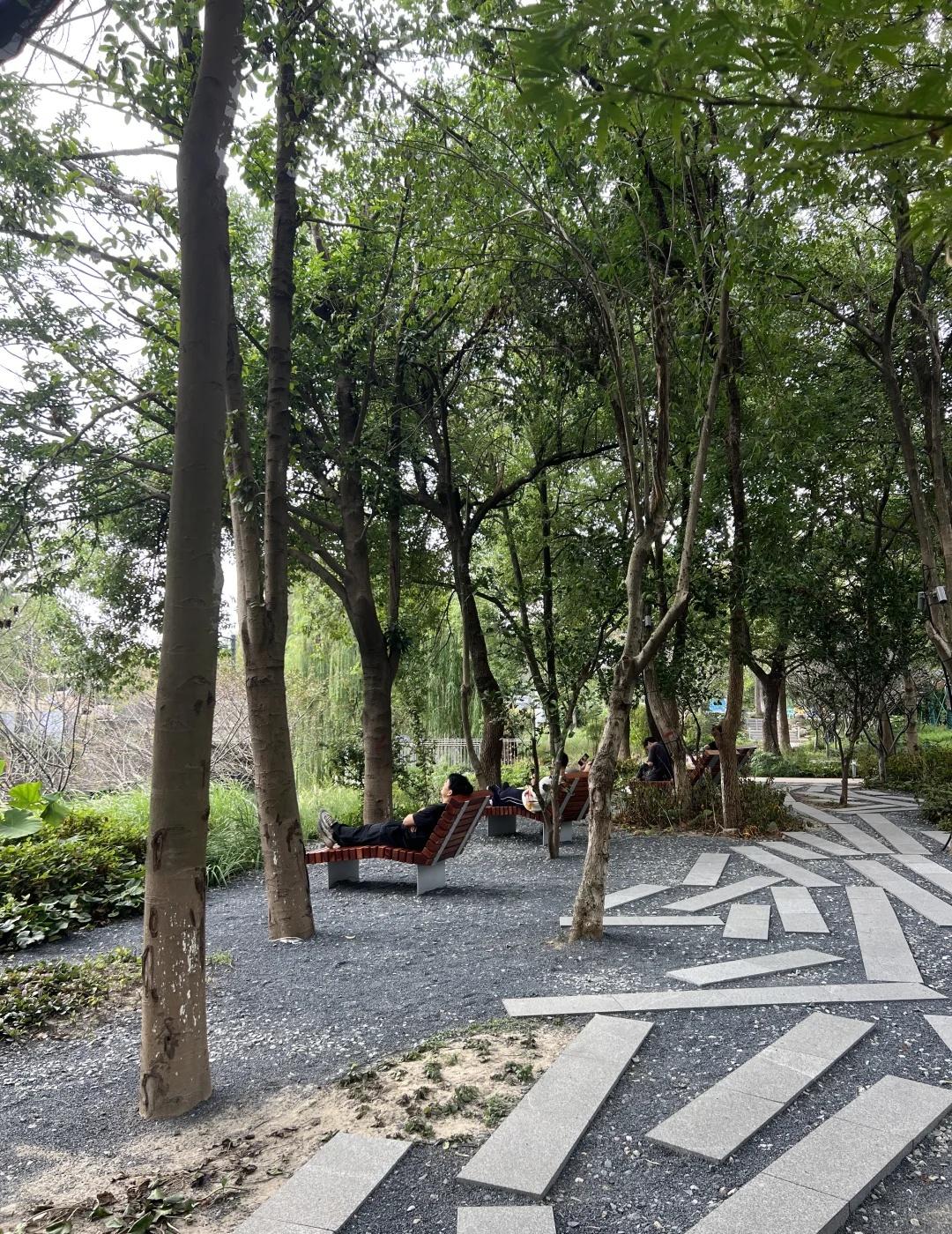 目里国际社区｜适合躺平的公园社区
天目里国际社区 城市更新