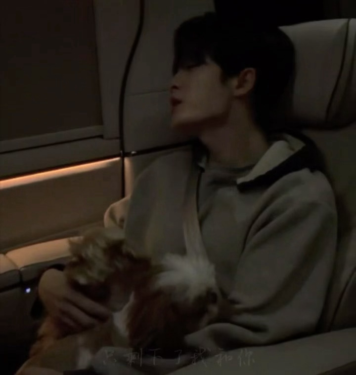 檀力球一直在挑衅我… 