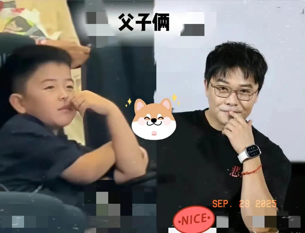 明眼人早看明白了，
陈思诚当年离婚不争儿子抚养权，
哪是出轨内疚？根本是笔稳赚不