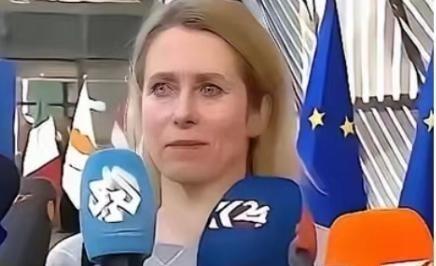 欧盟的官宣再次震惊了全世界：从今年开始，一切与中国有关的科研机构，都将没有资格参