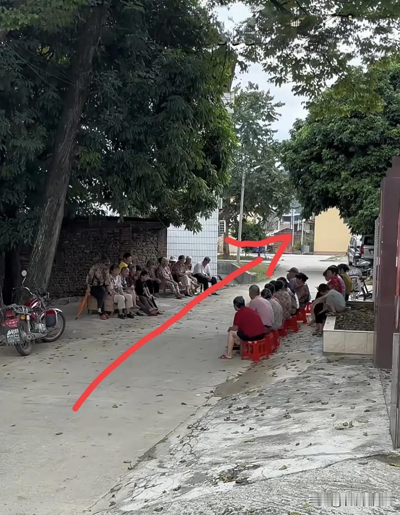据说每个从这里走过的人都胆战心惊，一条狗走过去都会身败名裂，他们每个人都不敢起身