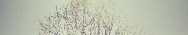 临江门正街。镜头下的年代感 重庆dou知道

拐进这条街，像一脚踩进了时光的褶皱