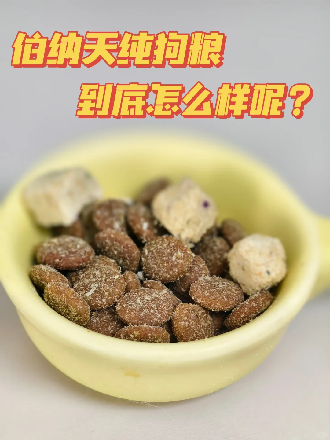 关于伯纳天纯狗粮，我有话说…