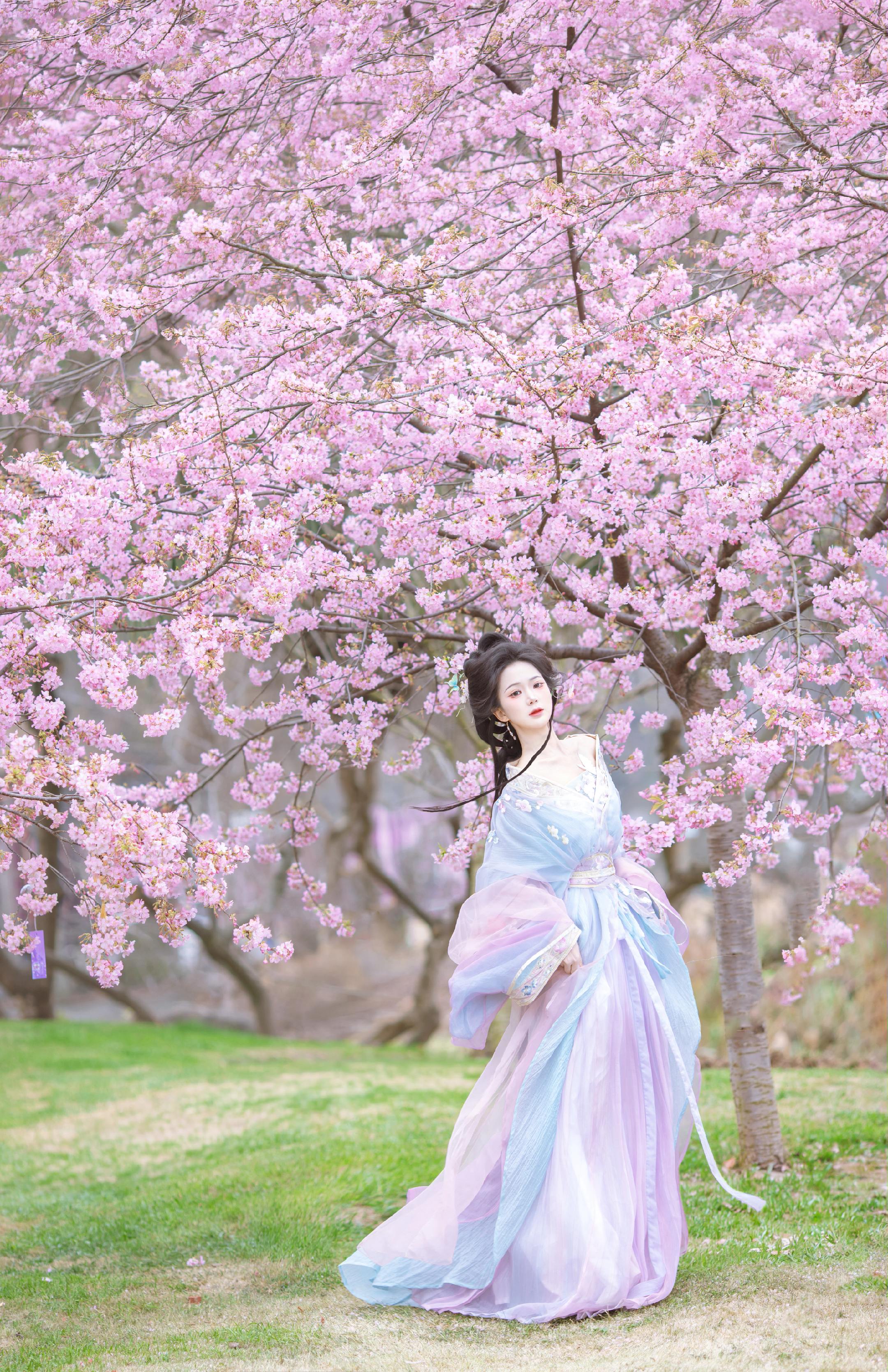 又是一年春，见到想见的人了吗？