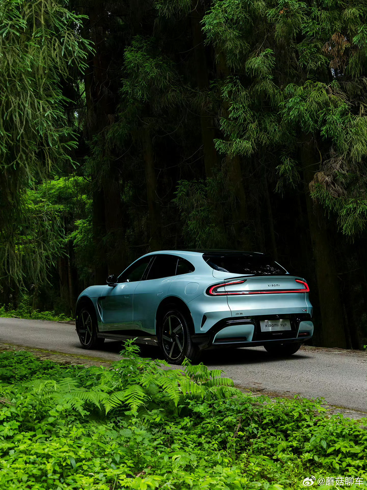 小米YU7的新配色蘑菇聊车