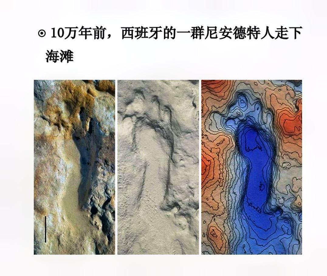 尼安德特人有人了解吗？