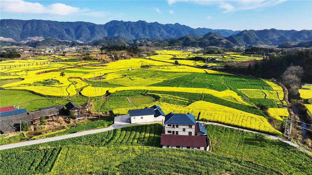 读《近思录》之3.51　

知时识势，学《易》之大方也。

解读

伊川先生程颐