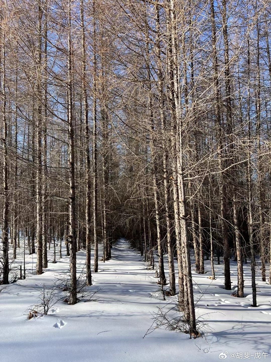 理性比“愚蠢”更昂贵；“迟钝”是资本市场第二稀缺的能力。第一稀缺的能力是周期判断