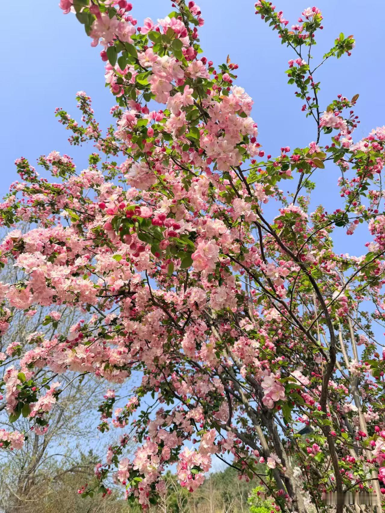 当你真正参透“专注”与“行动”的底层逻辑，人生里近八成的无效消耗都会自然消散。很
