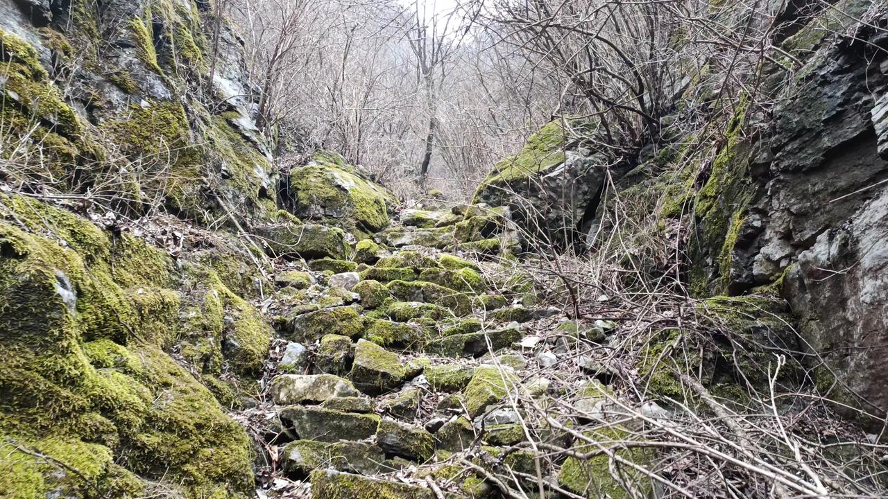 这里是河北涉县青塔村附近的大荒沟村。在附近一位大爷的指引下，我翻山越岭两个多小时