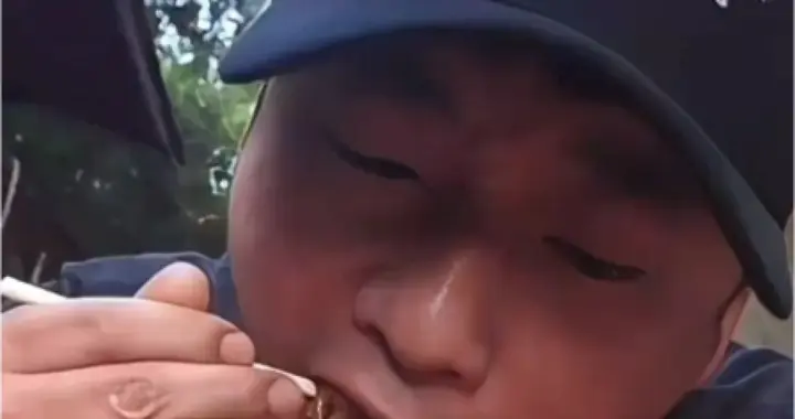 河风评论丨河南为啥一下火了三家小店？
