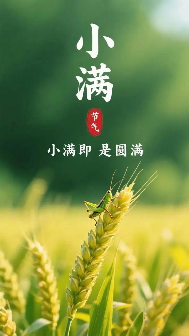 小满小满，幸福满满
事业兴旺，财运满满
生活顺利，心情满满
爱情甜蜜，快乐满满
