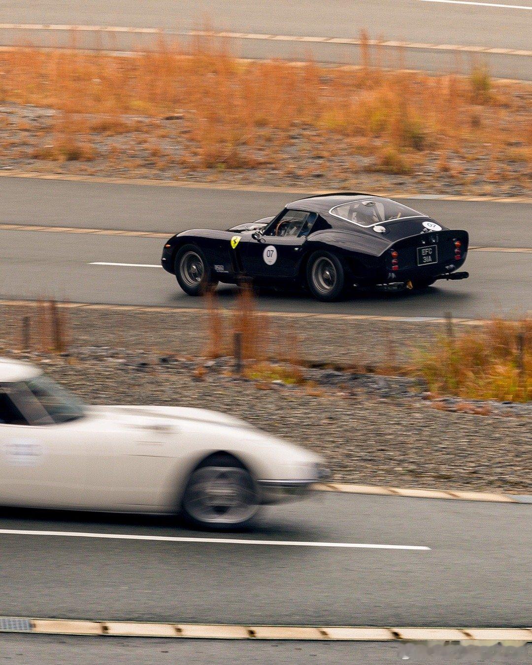 Ferrari 250 GTO  cars01豪车拍  Ferrari Frid