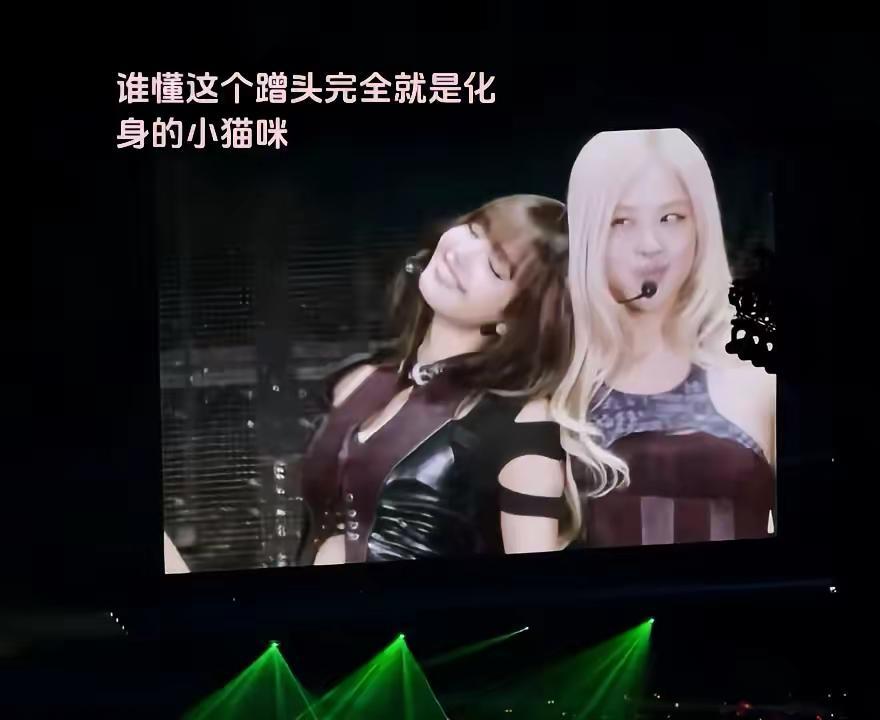 L（脑袋轻轻蹭着她）：只想赖在姐姐身边R（故作无奈后是藏不住的暗爽）： 怎么还是