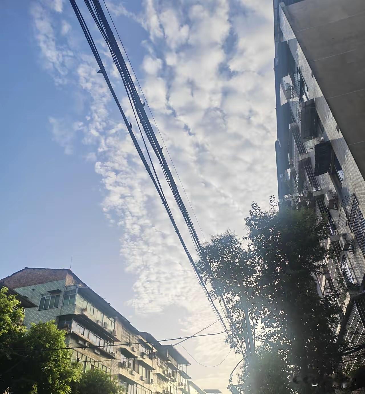 收拾父亲遗物发现藏起来的手写遗嘱，一套老房子，看清手足最深的人心
 
我爸去世后
