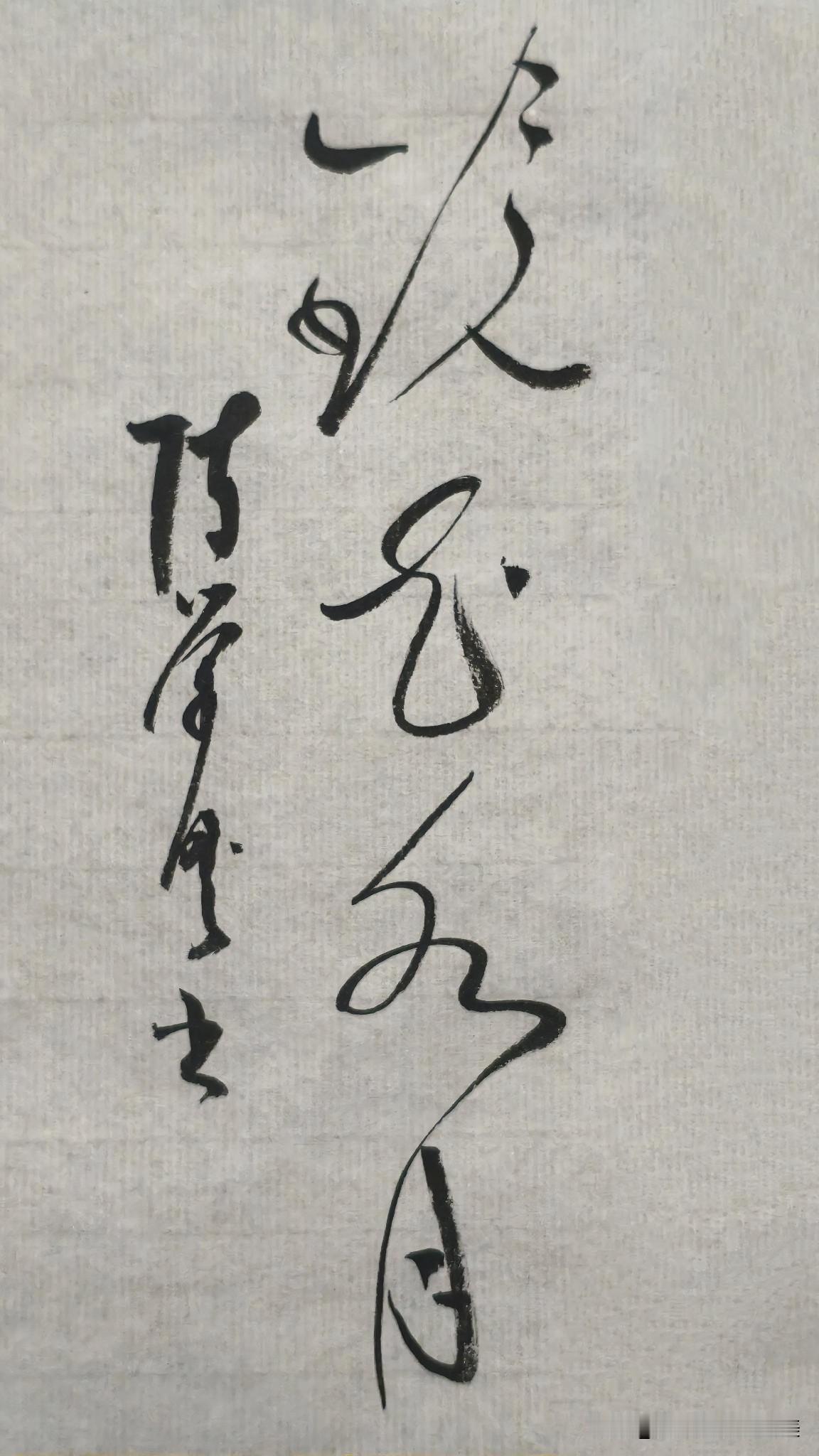 草书精品展示：镜花水月