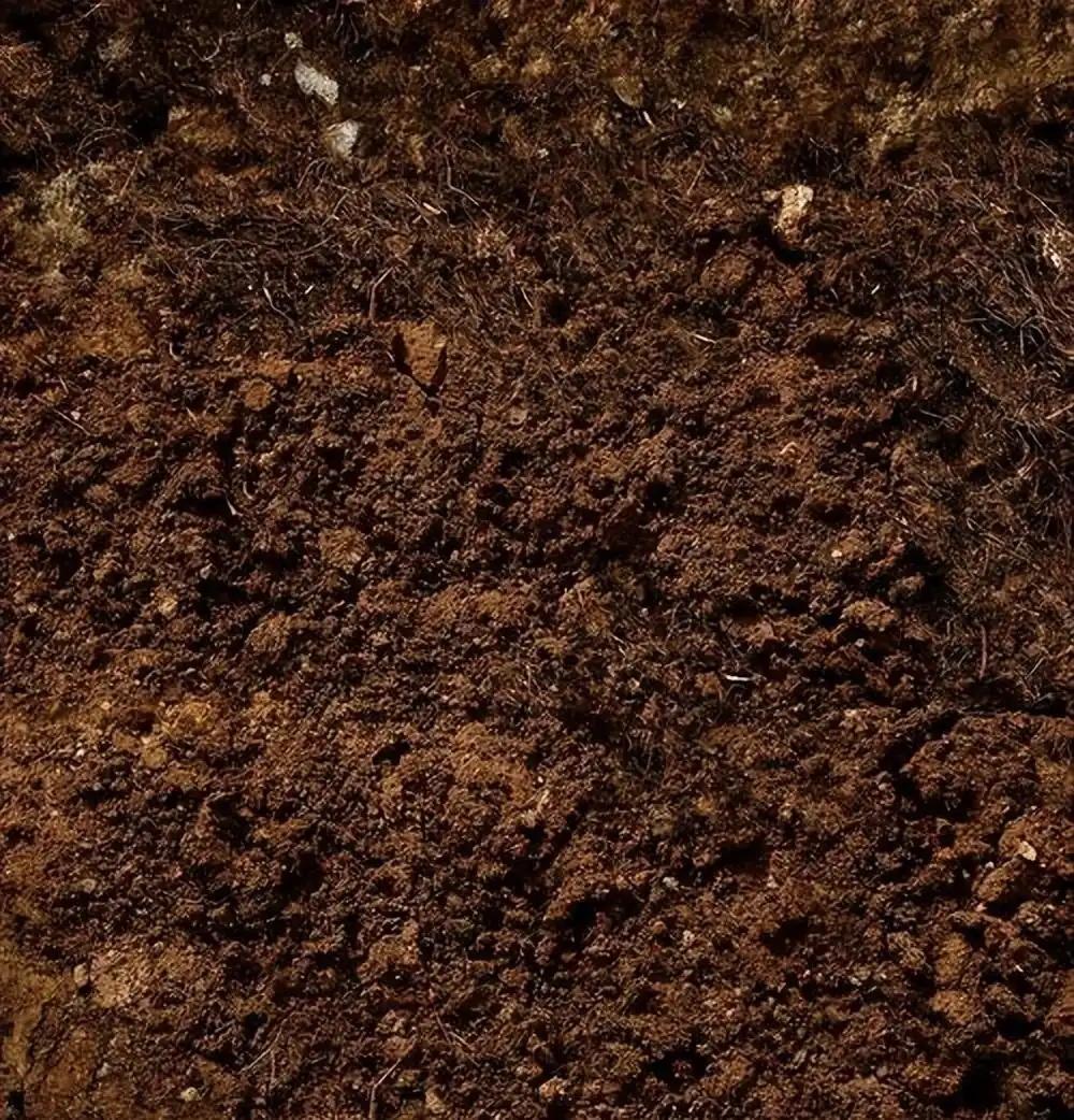 泥土，万物生生之根
总觉得世间最质朴、最厚重，也最容易被忽略的，便是脚下这捧泥土