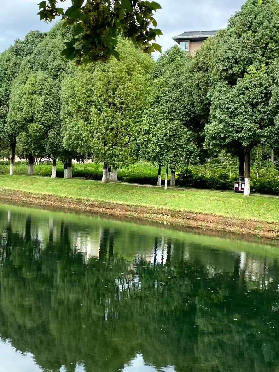 下午，地铁5号线上人很多，这条线的终点站是滇池，宝丰湿地。

上班族和游客都爱乘