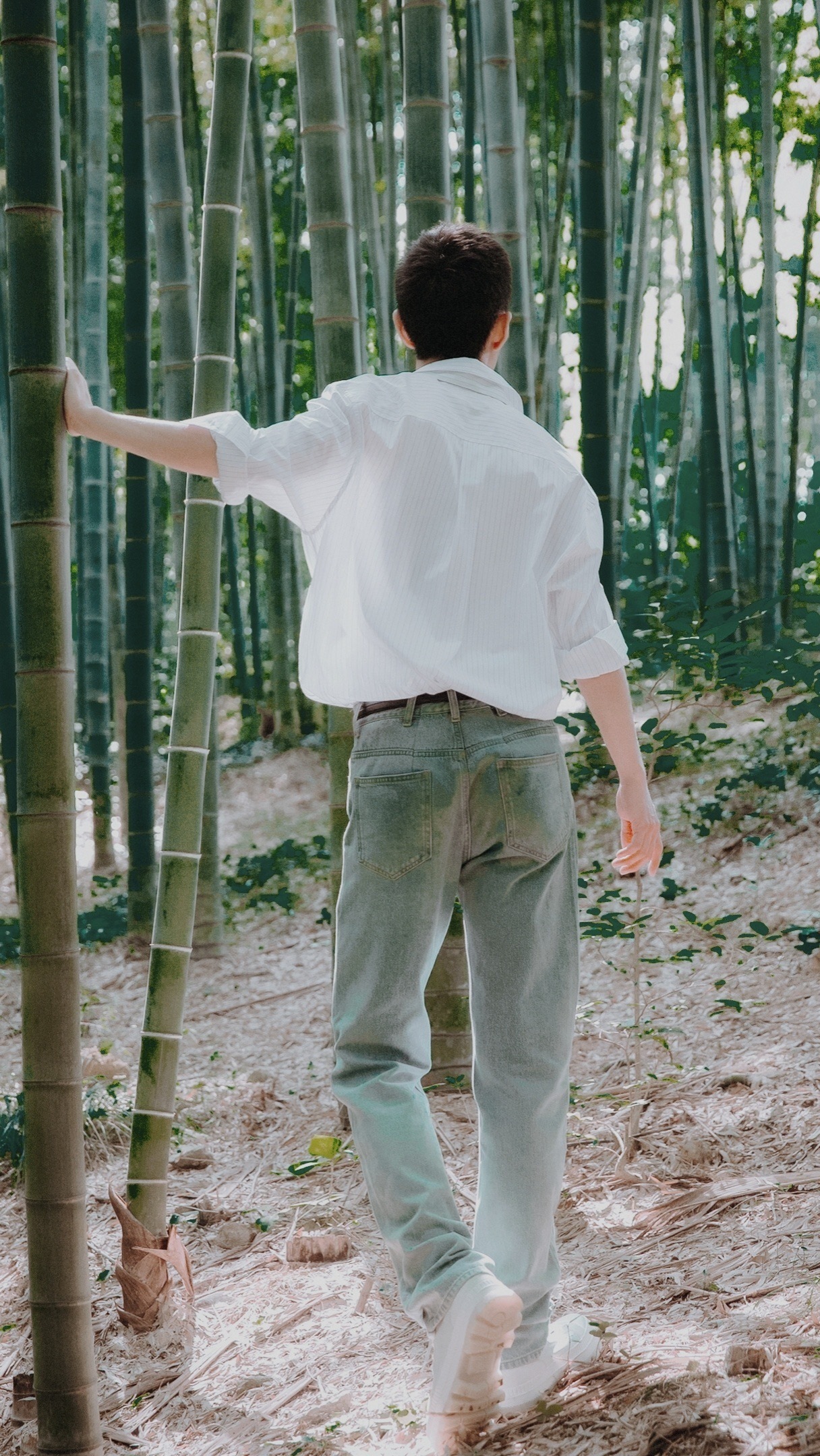 竹林深处，是灵魂的栖息地。它不言语，却用最宁静的方式告诉你：慢下来，静下来，你本