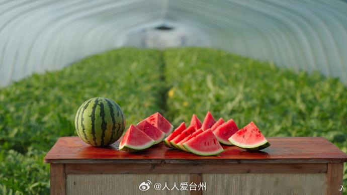 从田间到舌尖台州用一口脆甜书写共富答卷 近日，台州路桥。金清镇将在人民广场举办“