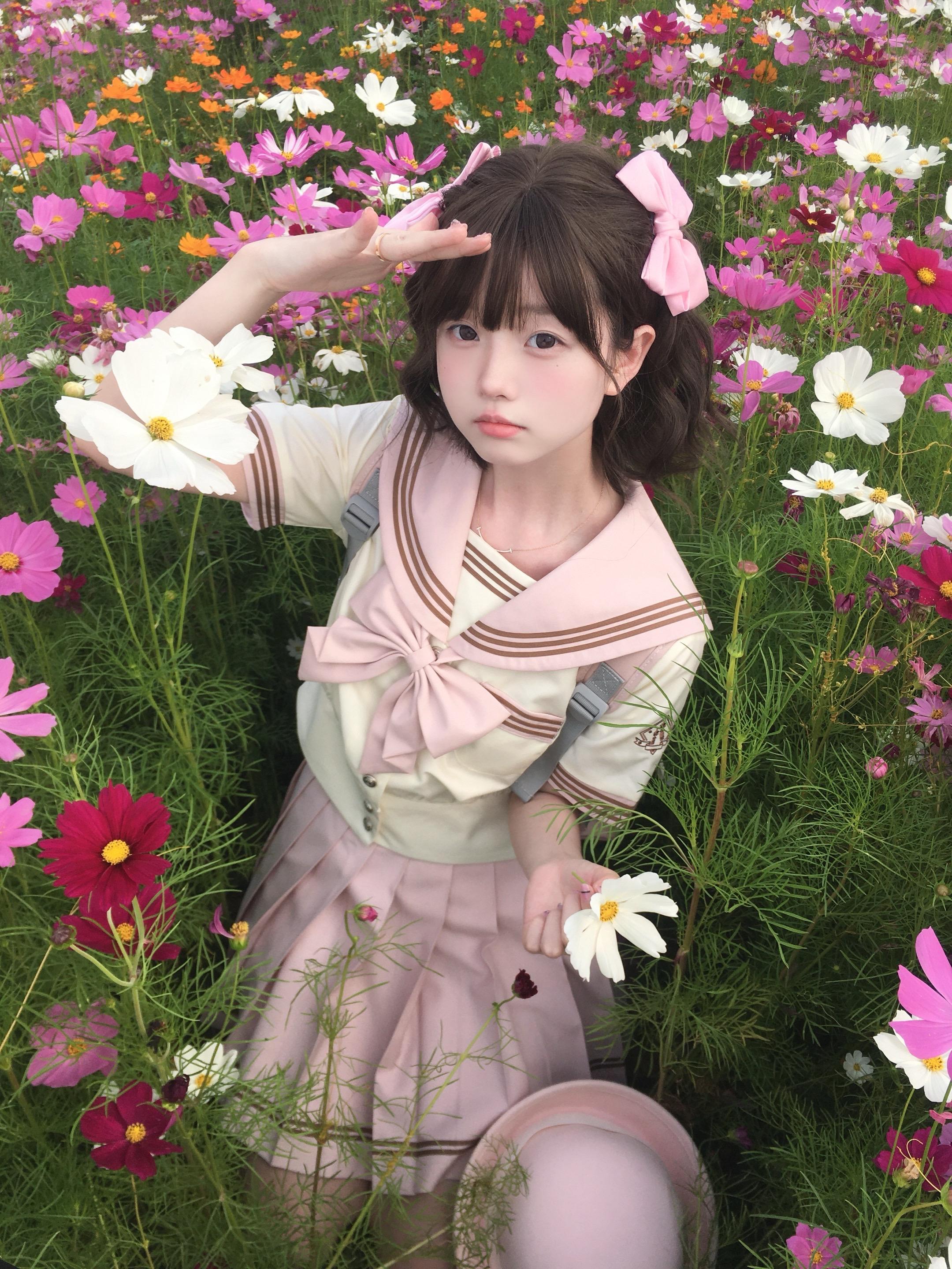 粉粉格桑花🌸/✉ ⊹˚₊