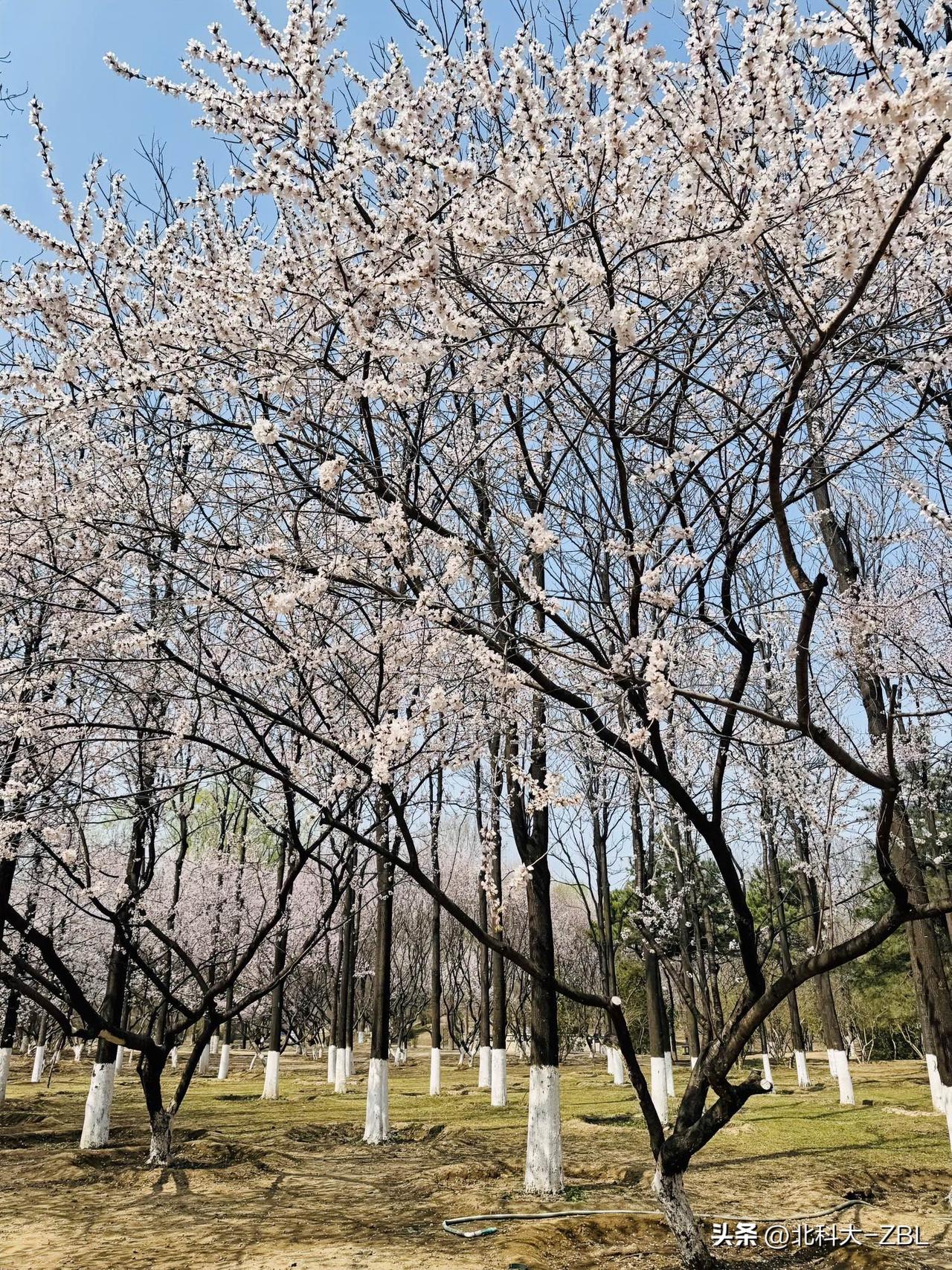 赛英电子申购结果来了，此前预测基本准确[大笑]

赛英电子新股发行正值3月底，此