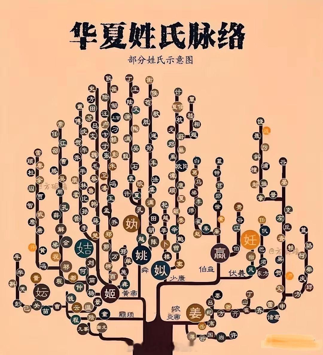 华夏姓氏脉络，找到你自己了嘛？？？ ​​​