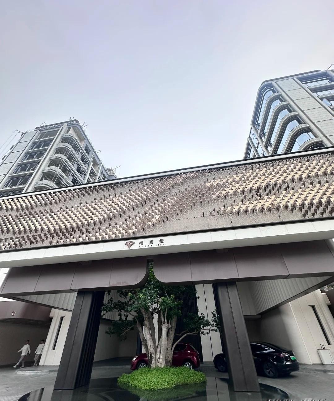 三万块一平，买个楼，送你一个空中花园——不是阳台，是能种树的真·户外空间。
合肥