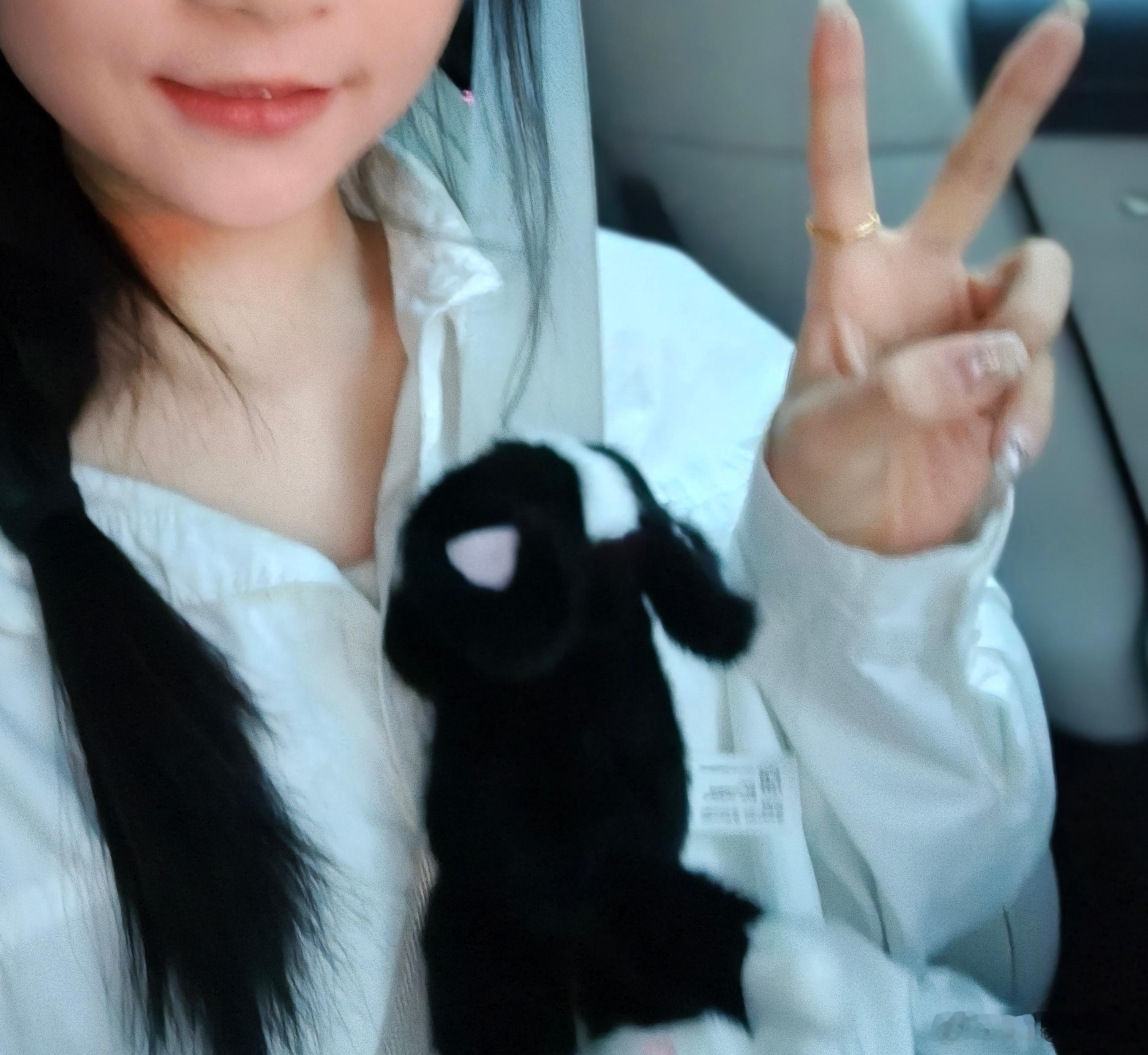 今日好物分享小米猫咪磁吸玩偶，用来安全带装饰，好看自用好物分享