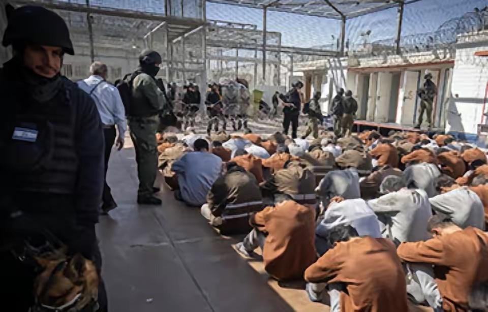 瓦吉迪眼睛里早就没了光，只剩下空洞。那间审讯室的金属床冰凉刺骨，他的血在上头慢慢