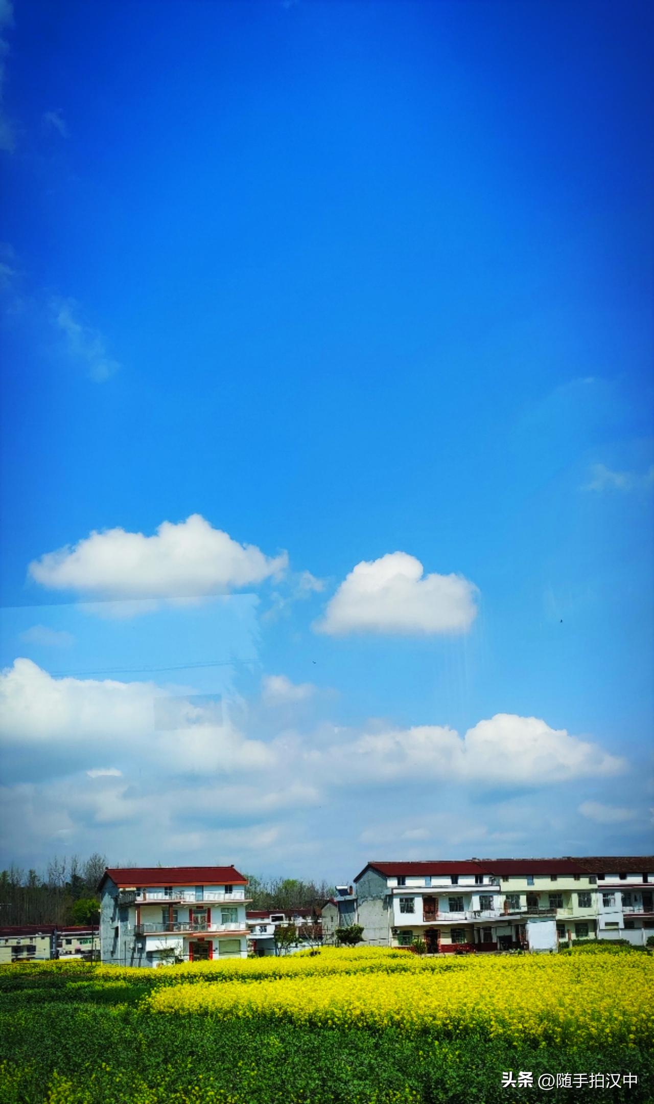 在色彩的映照下，春日很缤纷，看得心里欢欢喜喜。油菜花的明黄，有人会觉得它很俗气，