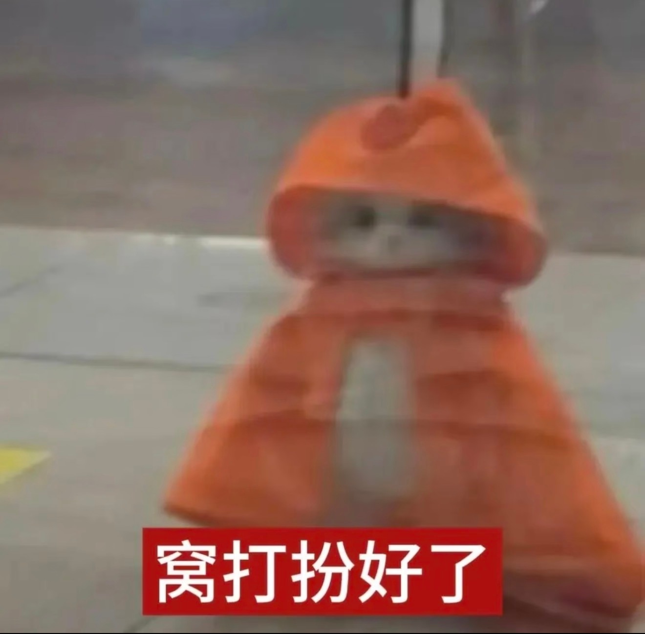 我猜宁宝👇🏻 