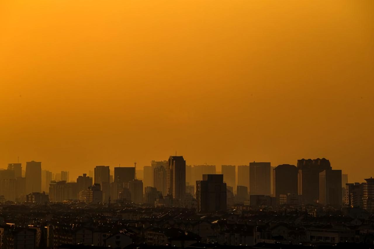 金秋时节，苏州迎来了令人震撼的一幕！2025年10月10日，苏州诞生首个“千猛日