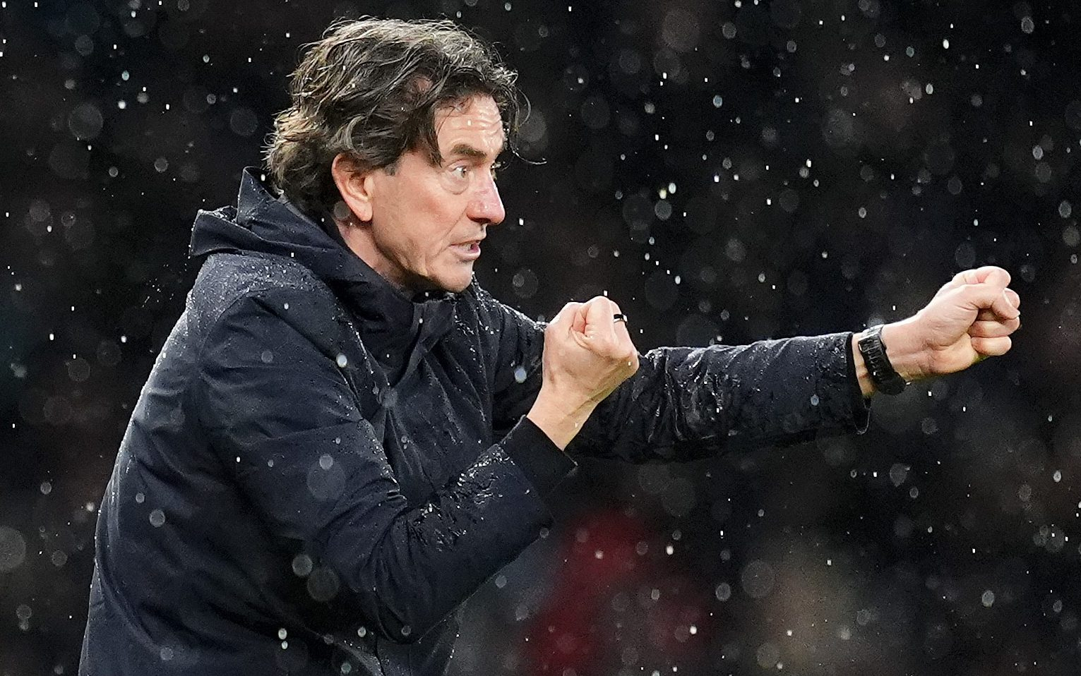 每日电讯报Matt Law，刘易斯家族至少两位成员——薇薇安·刘易斯和尼克·布切