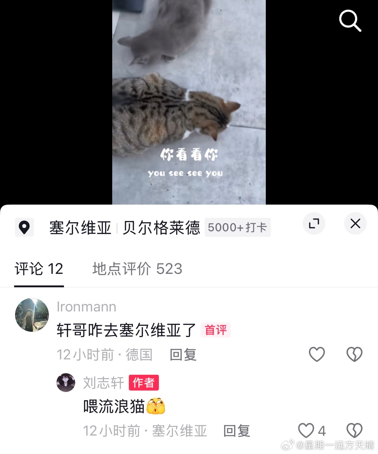 辽宁男篮刘志轩 轩哥说了：塞尔维亚的流浪猫需要我。辽宁男篮