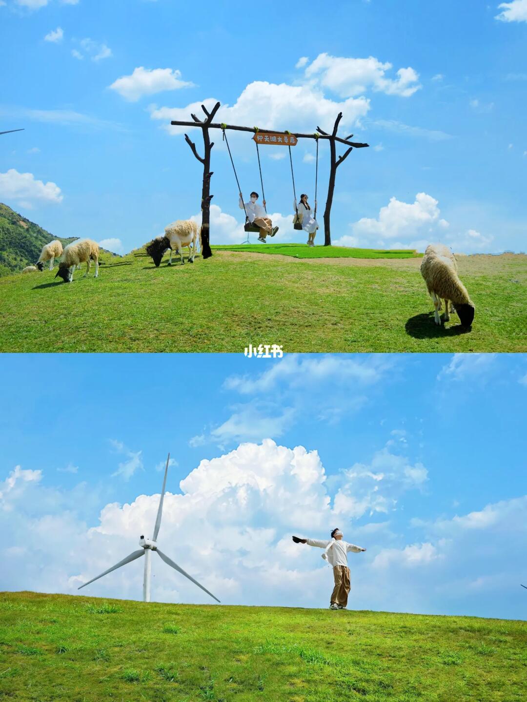美哭了😭不用去瑞士，广州2h也有绝美草原