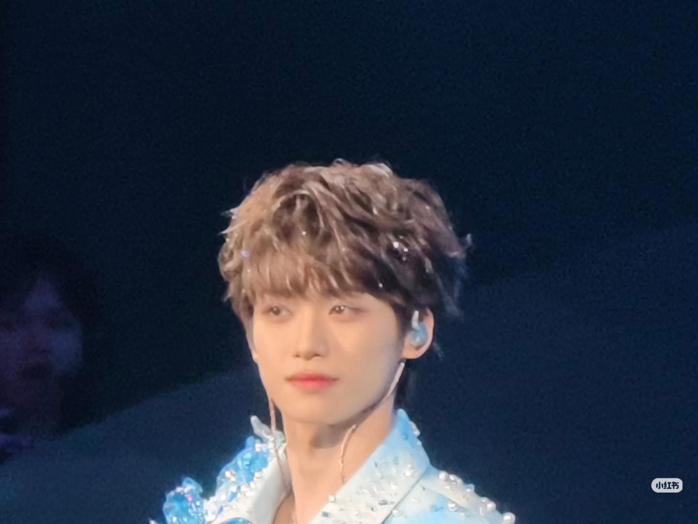 毛栗子忠实爱好者 