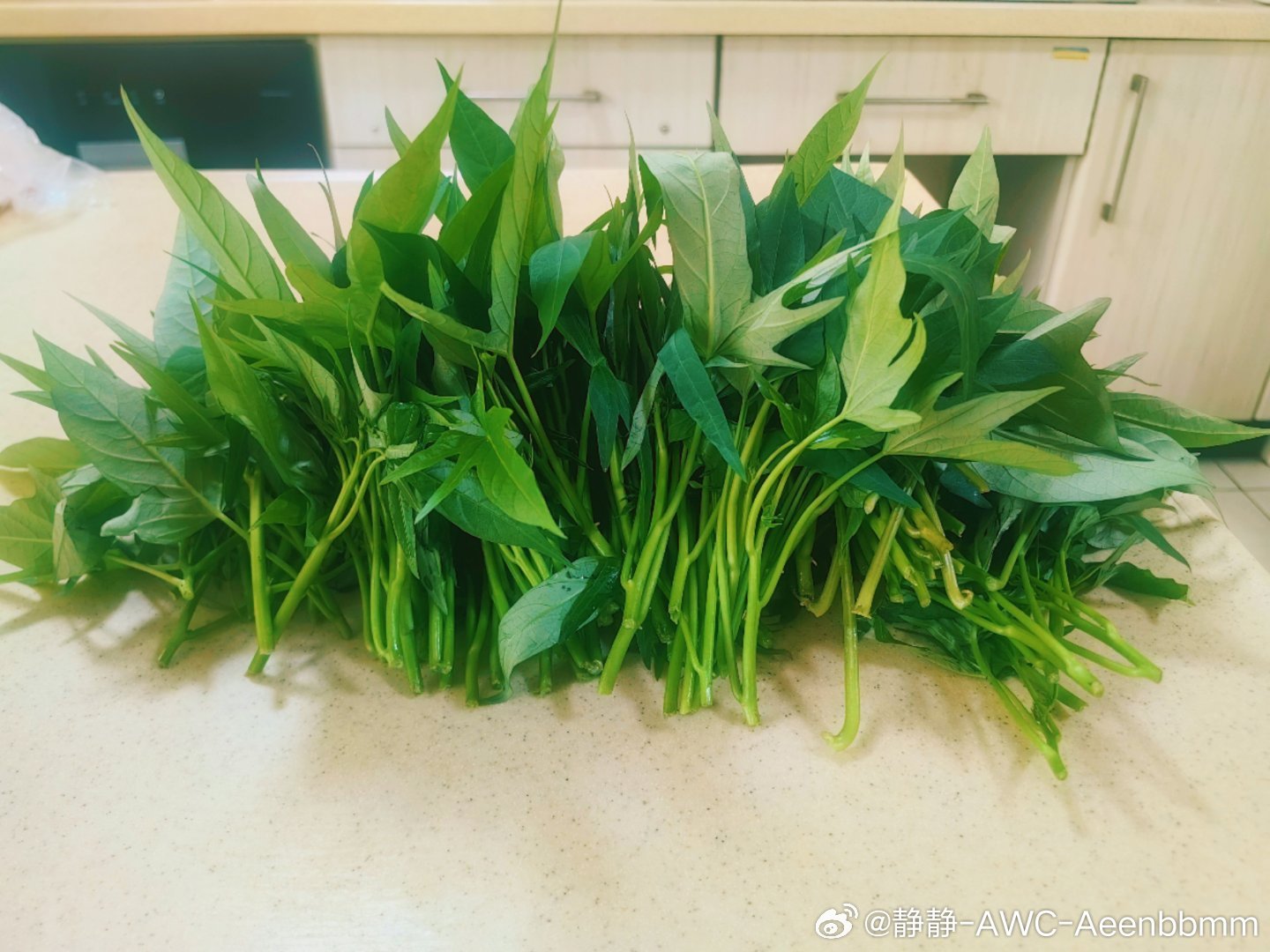 自己种的番薯叶绝对是有机只淋水 