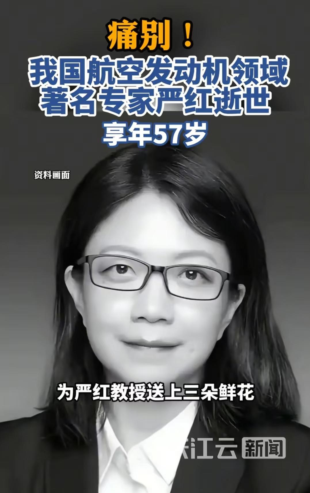 “看哭了！”西工大博导严红，丢掉美国教授的优渥身份回国硬啃航空发动机，啃下高超音