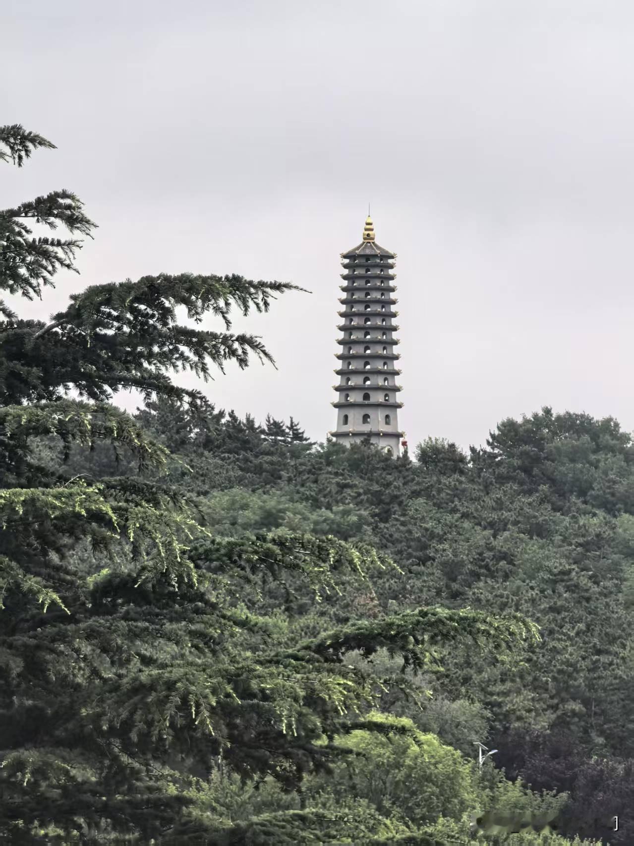 古塔栖于林海，青松作伴，云雾为邻，万般心事都随山风散去。