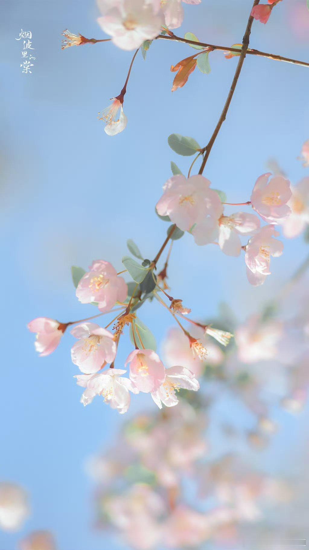 早安[超话] 🌼 早安！  🌼新的一天如约而至，愿阳光为你铺路，清风为你加油